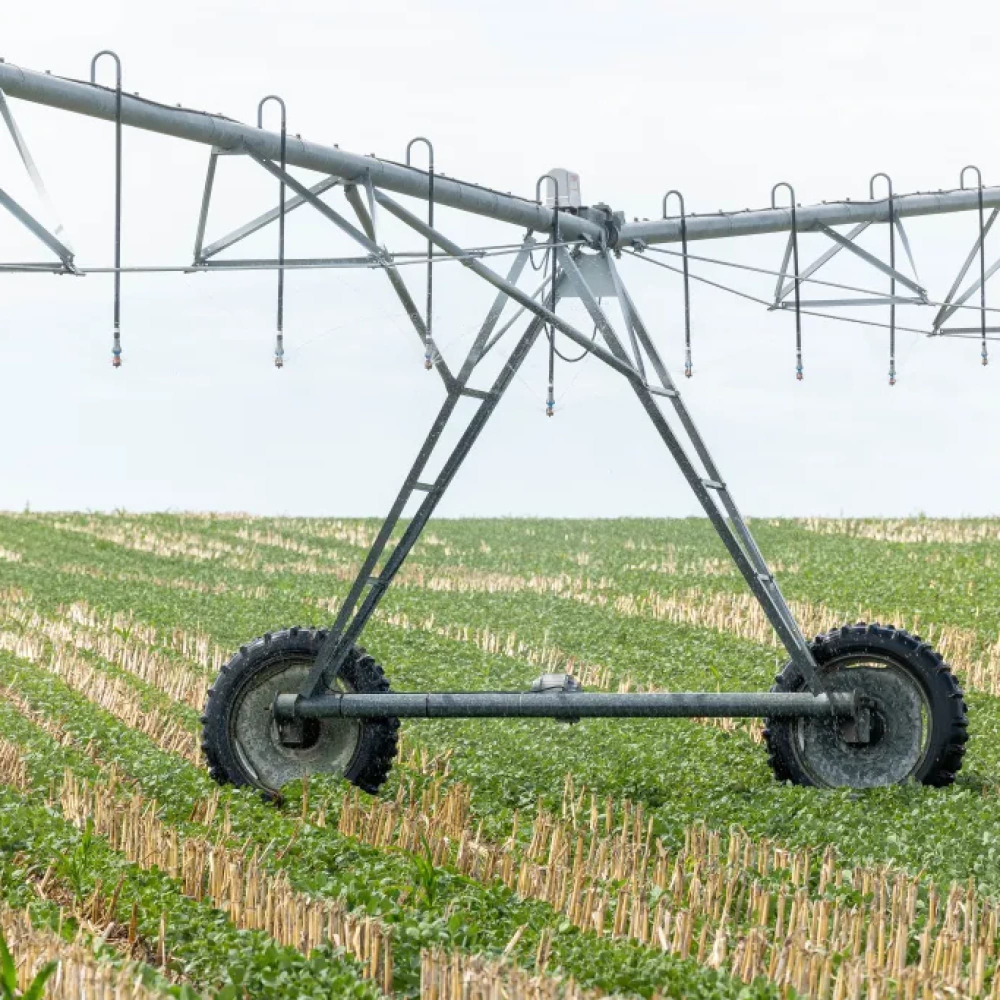 Vortexx Irrigation Tire 3