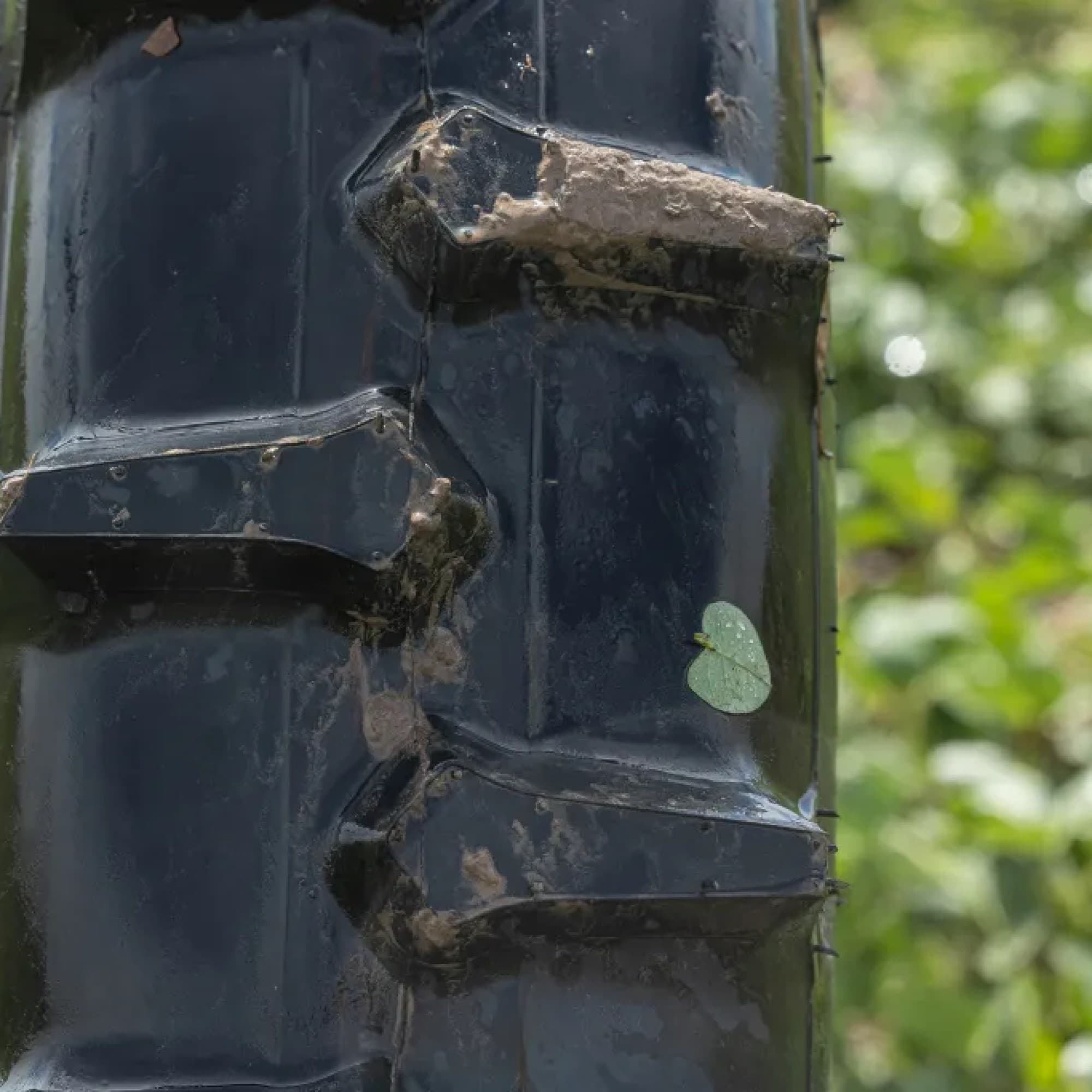 Vortexx Irrigation Tire 4